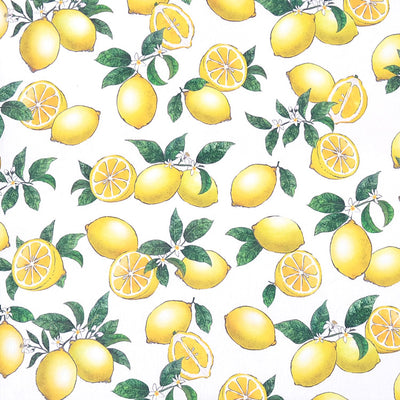 Coaster Set of 4 Reversible Type 100% Cotton Citrus Lemon 