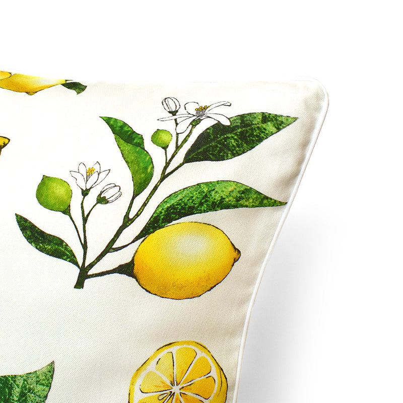 Cushion Cover (55cm×59cm) Set of 2 Citrus Lemon 