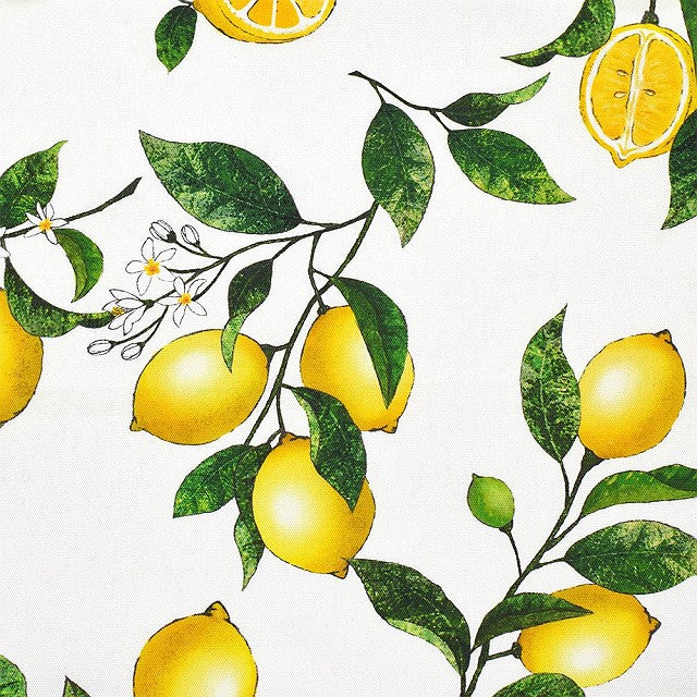Set of 2 table napkins / torchon citrus lemon
